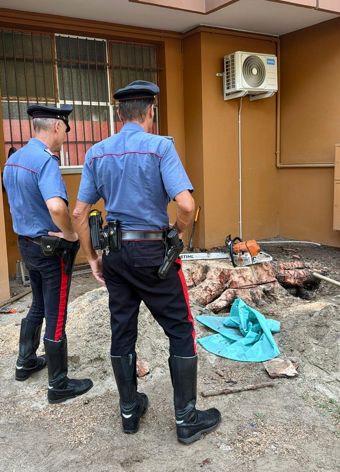 motosega trancia il piede del giardiniere grave infortunio sul lavoro