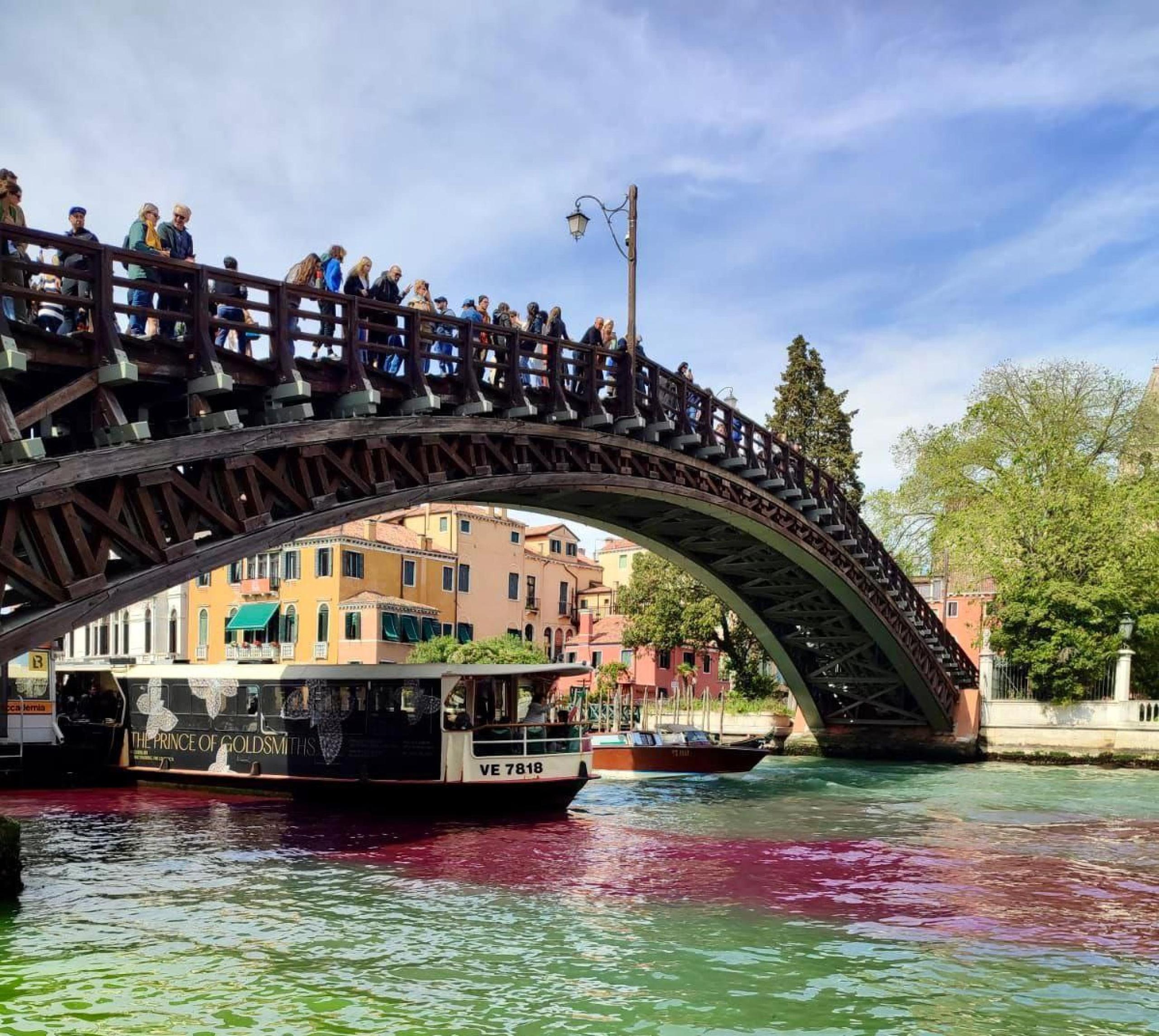 Canal Grande colorato di rosso e verde, ancora un blitz degli attivisti. Zaia: “Venezia non va oltraggiata”