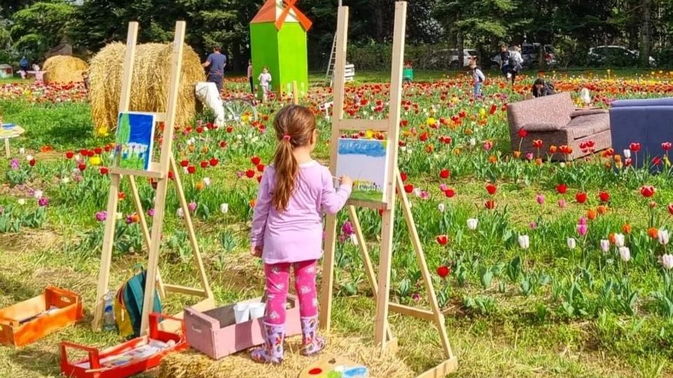 Sensazioni  d’Olanda ‘Il giardino dei colori’ ha riaperto le porte. Protagonisti i tulipani