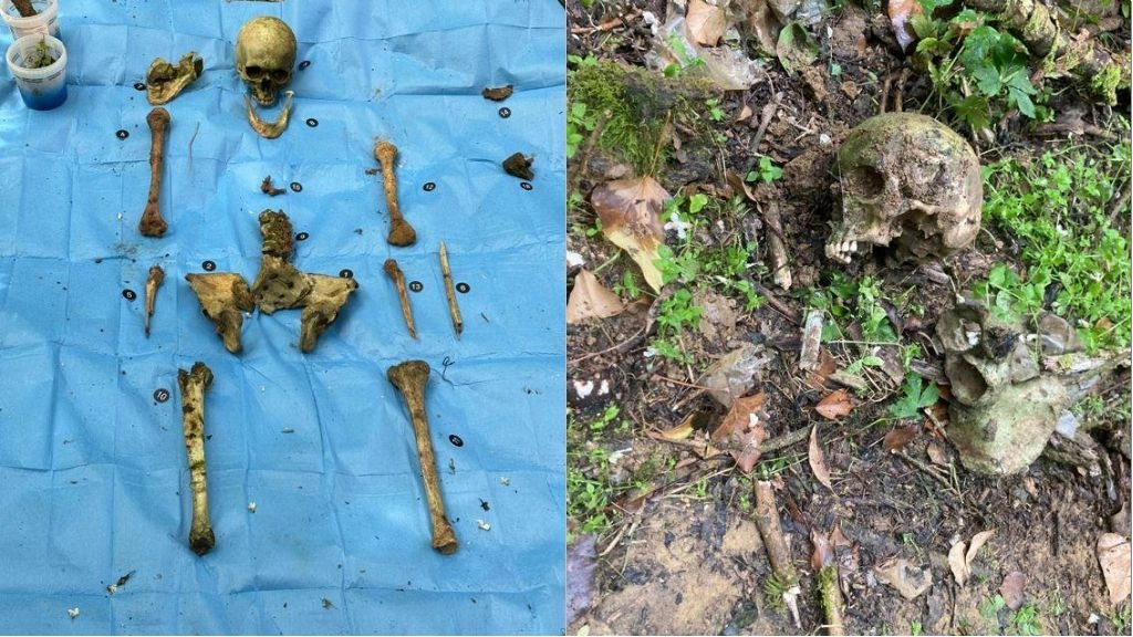 Le ossa umane ritrovate in un'area boschiva in via Vallescura