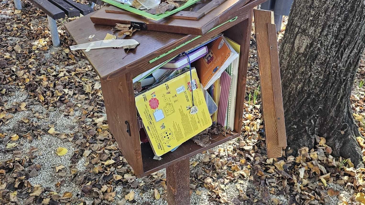 La casetta per lo scambio gratuito dei libri danneggiata dai vandali, che nei giorni avevano devastato anche i bagni pubblici del parco Salvo D’Acquisto La casetta per lo scambio gratuito dei libri danneggiata dai vandali, che nei giorni avevano devastato anche i bagni pubblici del parco Salvo D’Acquisto
