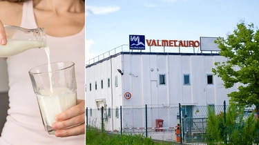 Inchiesta sul latte, la Tre Valli: sospensione dell’attività e dimissioni del presidente di Fattorie Marchigiane