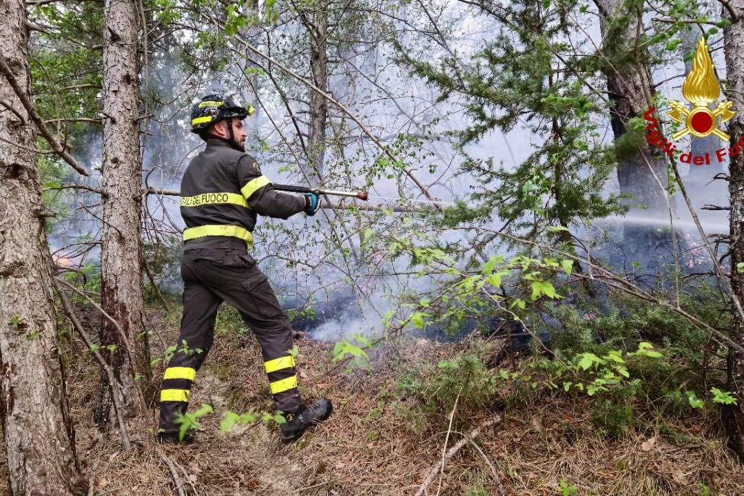 Incendio nel bosco di Santa Sofia, nel Forlivese