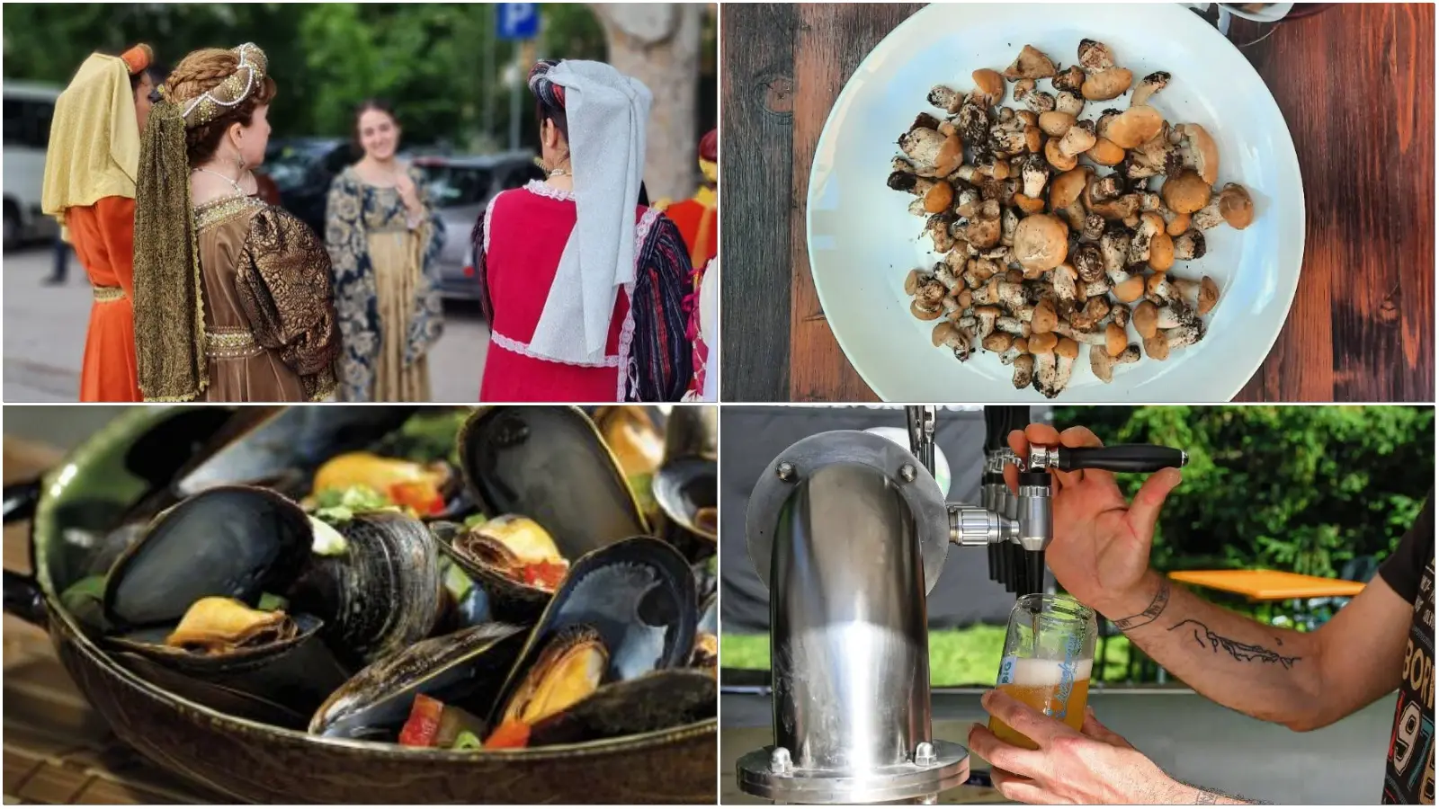 sagre in emiliaromagna cosa fare nel weekend dal 23 al 25 maggio da Ilrestodelcarlino.it sagre in emiliaromagna cosa fare nel weekend dal 23 al 25 maggio