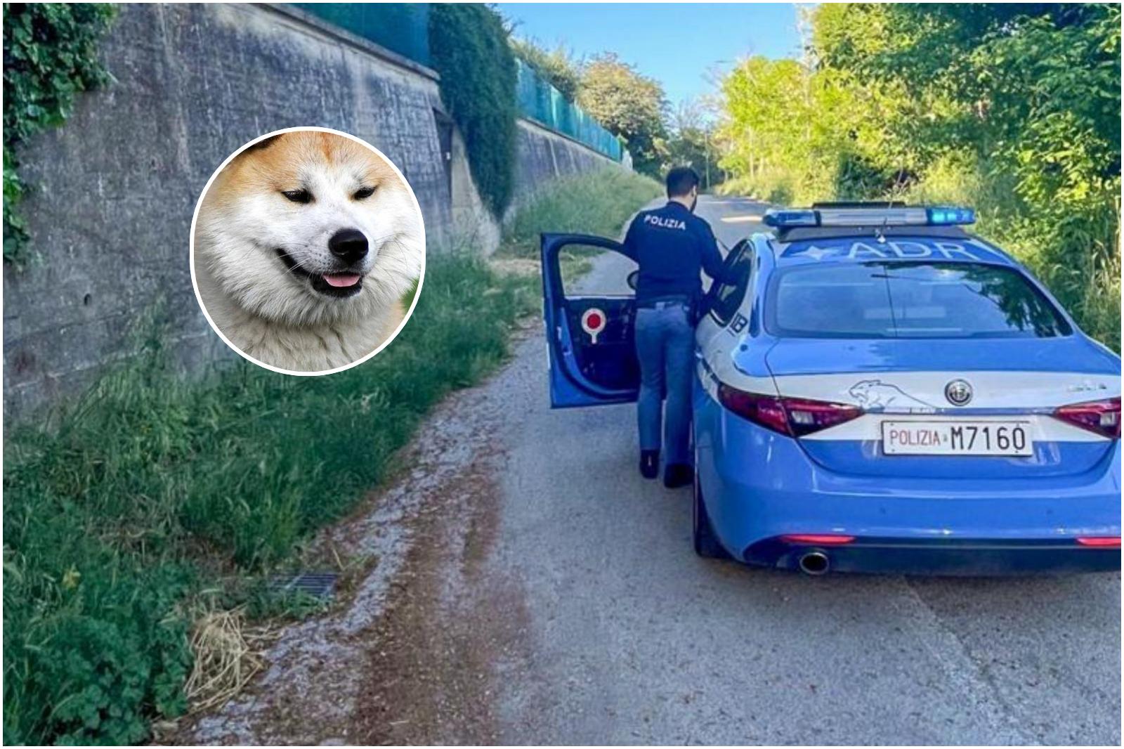 Mamma e figlia azzannate dal cane a Pesaro Mamma e figlia azzannate dal cane a Pesaro
