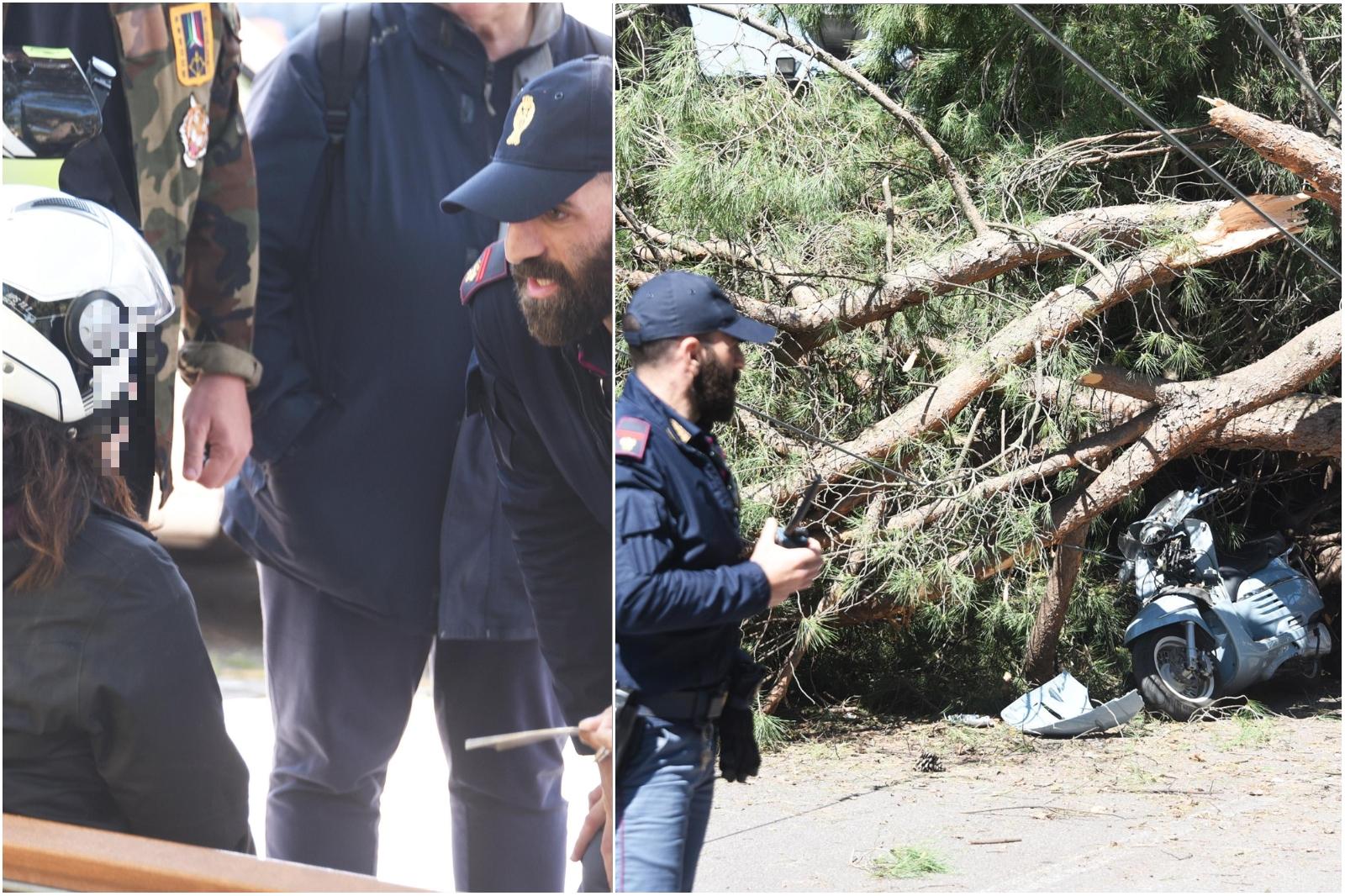 Paura centro da Ilrestodelcarlino.it paura in centro a rimini albero cade e centra una ragazza in scooter video