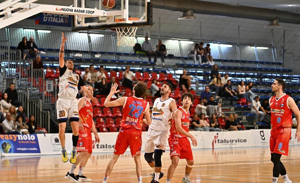 italservice loreto sfida roma per la semifinale playoff di b nazionale da Ilrestodelcarlino.it italservice loreto sfida roma per la semifinale playoff di b nazionale