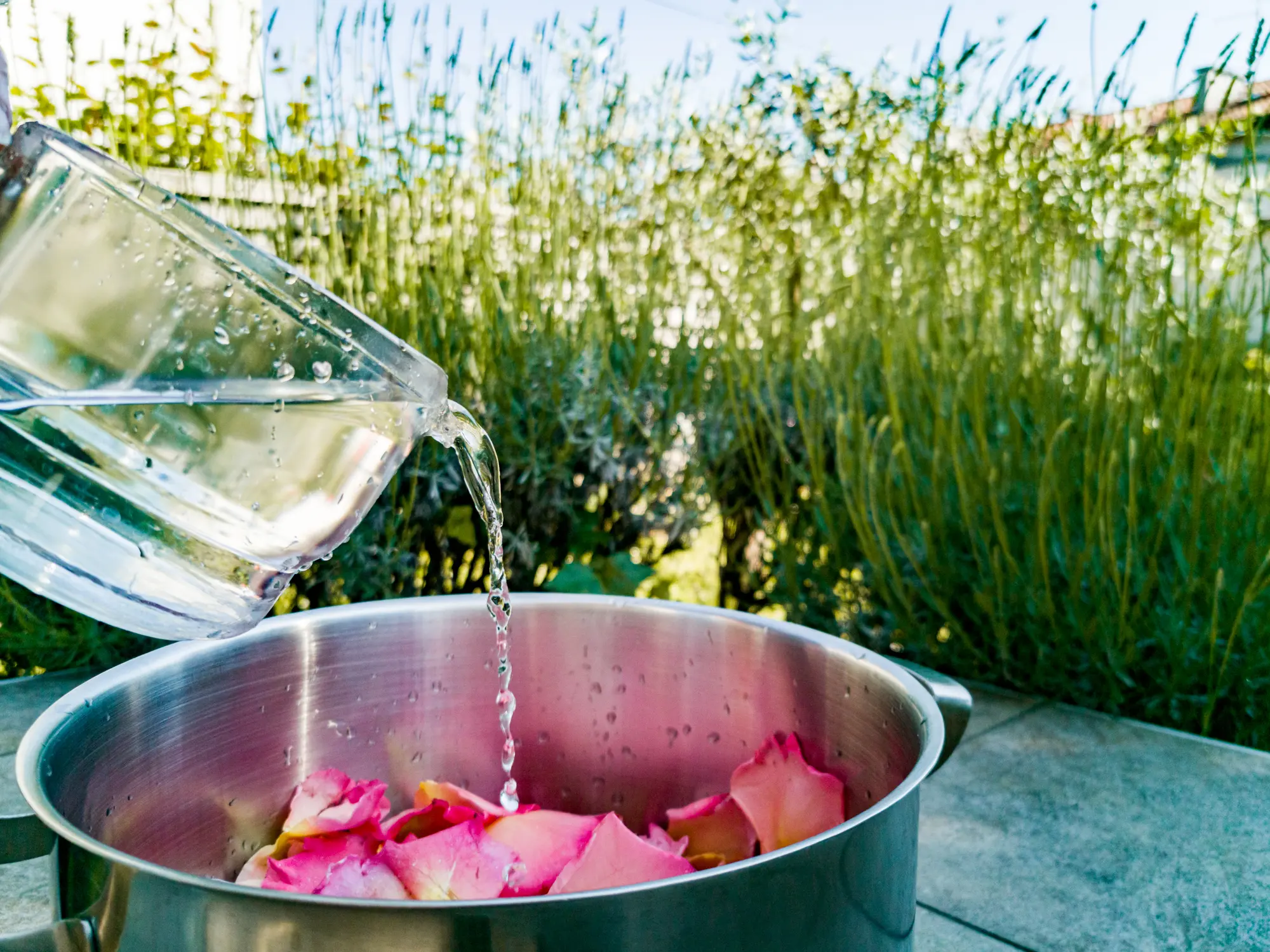 Acqua di San Giovanni in Emilia Romagna e Marche 2025: come conservarla