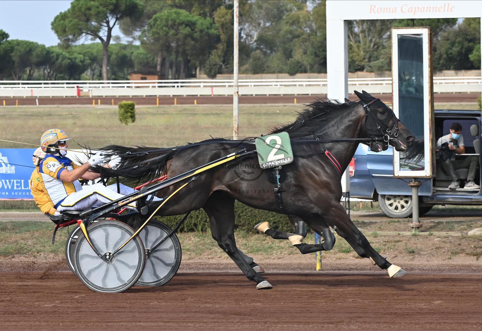 Ippodromo, si corre tra le proteste Ippodromo, si corre tra le proteste