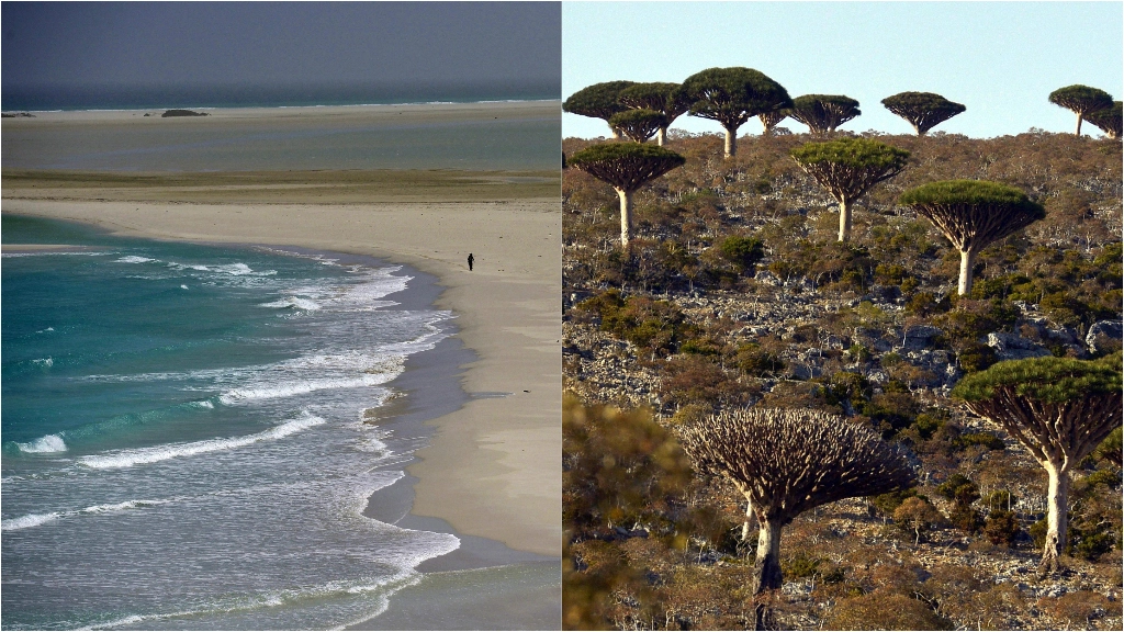 Gli italiani in vacanza nell’isola di Socotra sono stati ospitati dalla comunità locale. Nel Paese da anni si consuma un conflitto civile. Volo di rientro in mattinata