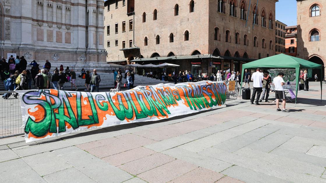 Cccp a Bologna, Cua distribuisce biglietti a ‘zero euro’ per protesta