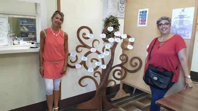 L’albero della gentilezza e i due assessori che l’hanno promosso: Orsola Rosetta D’Agata e Cinzia Bellodi