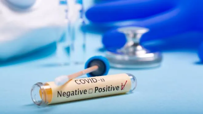 Coronavirus covid-19 nasal swab test  on a blue background.