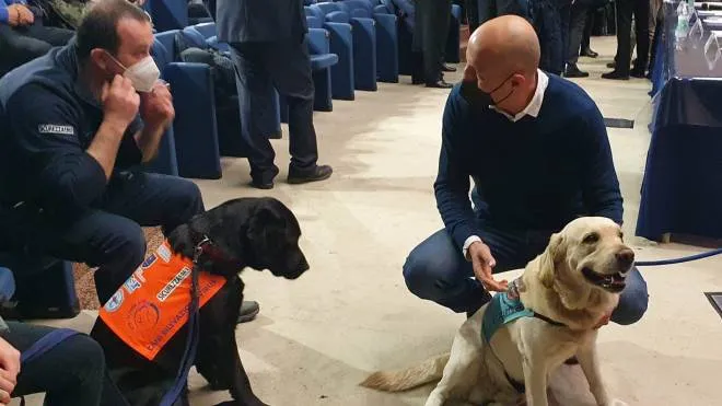 I cani che sono stati utilizzati per dar corpo alla ricerca scientifica illustrata ieri all’Università Politecnica delle Marche