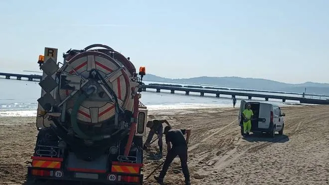 Si lavora per cercare di «liberare». un camion rimasto bloccato dalla sabbia: sembra che il problema nasca dai cumuli realizzati in inverno contro le mareggiate