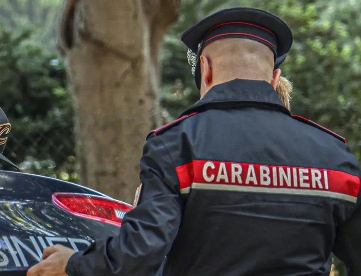 I carabinieri si sono occupati delle indagini sul caso (foto di repertorio)