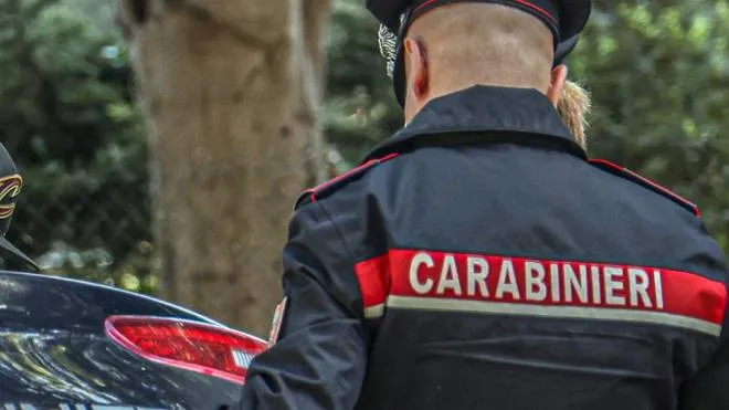 I carabinieri si sono occupati delle indagini sul caso (foto di repertorio)