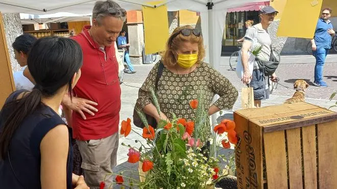 Lo stand ieri mattina in piazza Fontanesi di Human BEEing, il progetto di cinque giovani reggiani per contrastare l’estinzione delle api