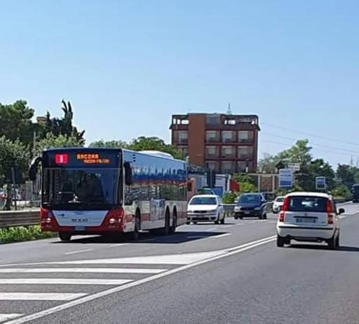 L’attraversamento della statale Adriatica a Fiumesino