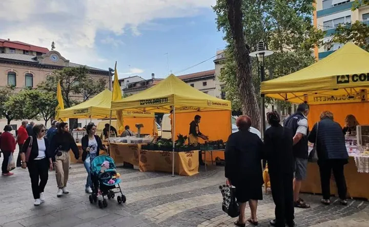 Il mercato del centro di Falconara