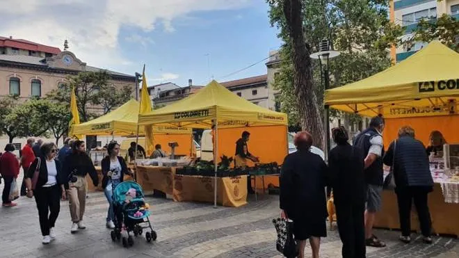 Il mercato del centro di Falconara
