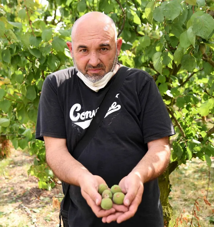 LO SCENARIO Massimo Mosesini coltiva i campi ad Aguscello con la sua famiglia