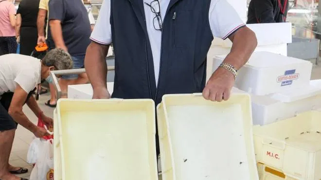 Marziano Tamburini, direttore del mercato ittico di via Castelfidardo