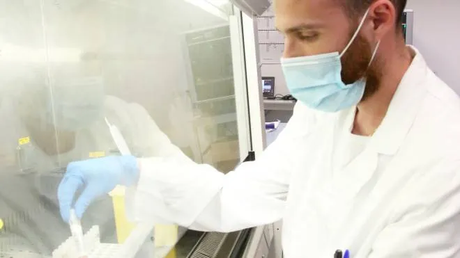 Un tecnico di laboratorio al lavoro su alcuni tamponi Covid. L’Ausl avverte: "Il virus non va in ferie"
