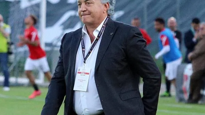 Massimo Pulcinelli