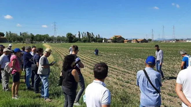 L’agricoltura bio rigenerativa è il progetto presentato nei campi della Fileni a Rocca Priora