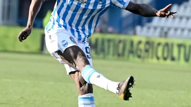 L’attaccante ivoriano Emmanuel Latte Lath, che il club biancazzurro vuole riportare a Ferrara (Foto Businesspress)