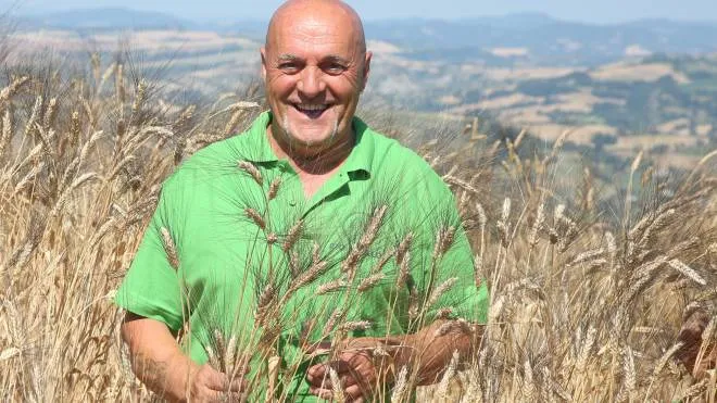 Gabriele Graffieti, titolare dell’azienda agricola ’Bio è bello’ a Sogliano, qui in mezzo ai campi di grano della sua tenuta