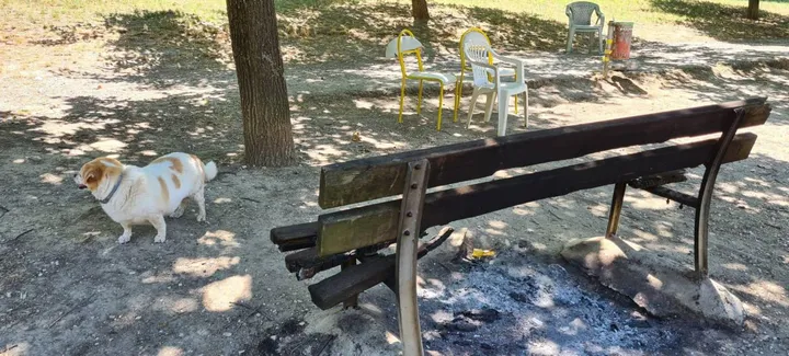 La panchina dell’area cani al parco Kennedy incendiata dai vandali