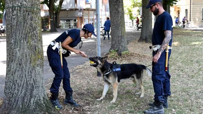 Una pattuglia della polizia locale con uno dei cani antidroga in dotazione