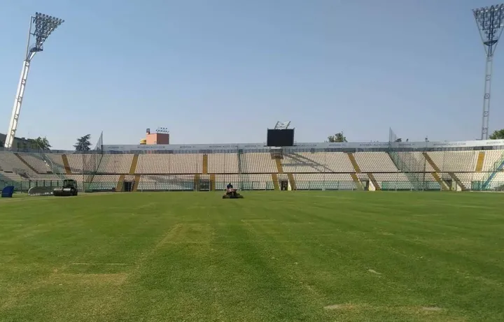 Il nuovo manto erboso dello stadio ’Braglia’ in una foto di venerdì