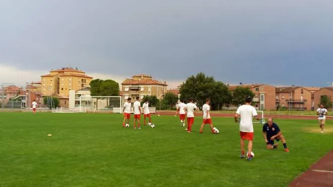 Una delle prime fasi di allenamento della Jesina che ieri ha iniziato a sudare allo stadio Cardinaletti in vista della prossima stagione di Eccellenza