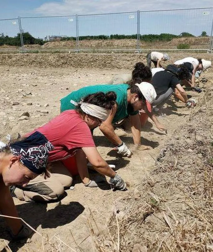 Studenti, laureati e volontari sono al lavoro in queste settimane nella zona archeologica di Zagonara