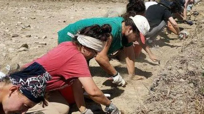 Studenti, laureati e volontari sono al lavoro in queste settimane nella zona archeologica di Zagonara