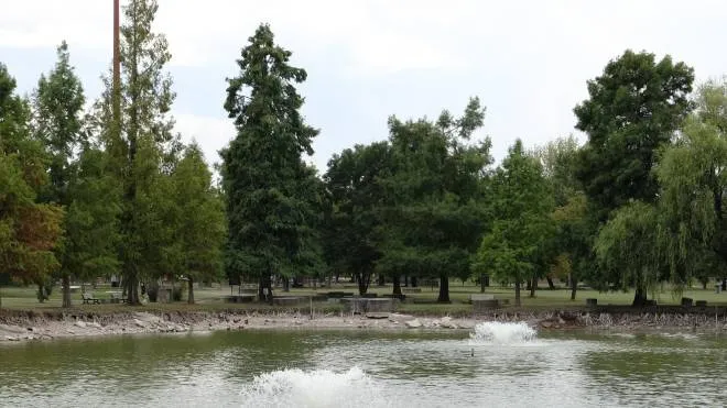 Il laghetto del parco Amendola: sulla sponda è evidente il calo dell’acqua