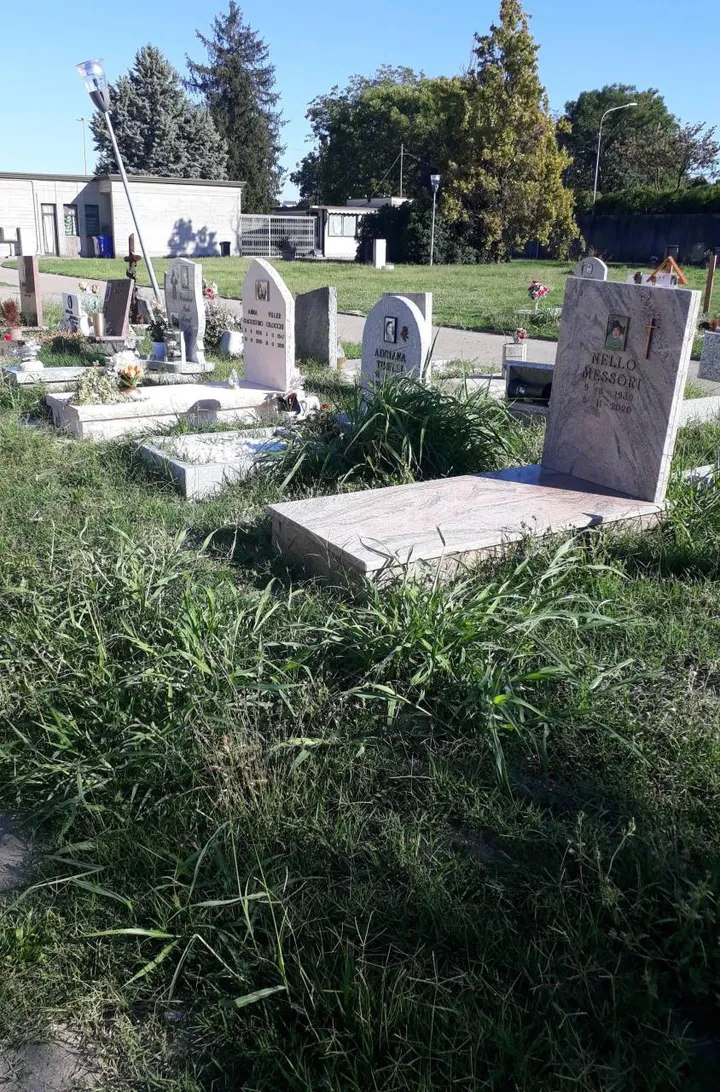 Ecco alcune delle tombe che sono state ricoperte dalle erbacce