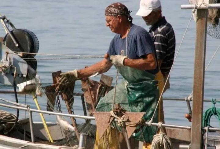 La Camera di commercio della Romagna ha aperto uno sportello per chi conferisce e commercializza il pesce