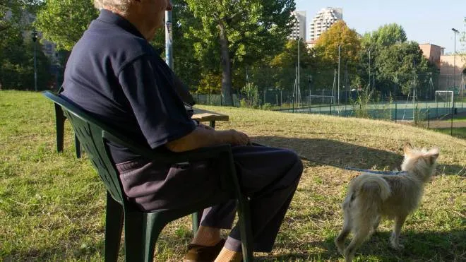 Anziano con cane al parco (repertorio)