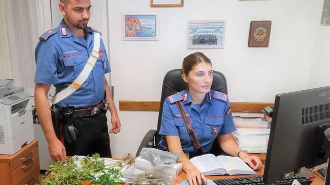 I carabinieri della caserma di Monterenzio con la droga che hanno sequestrato sugli argini dell’Idice