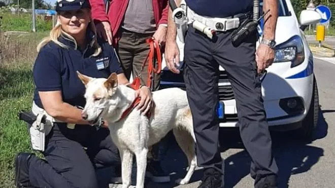 La cagnolina Neve con la proprietaria e gli agenti della polizia locale