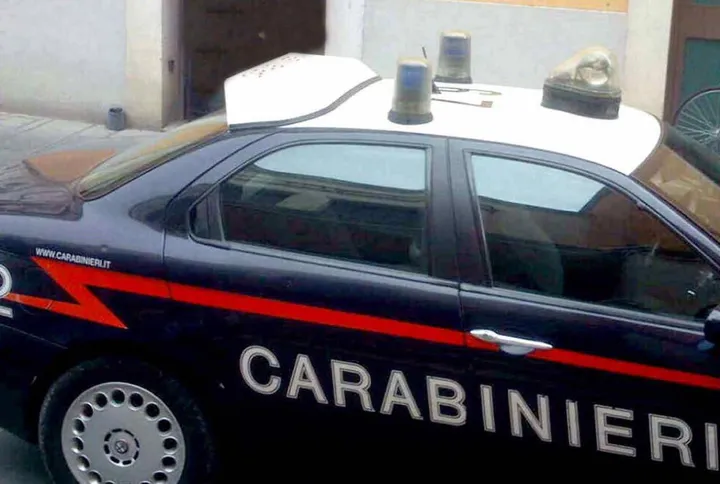 I carabinieri in azione (foto d’archivio)