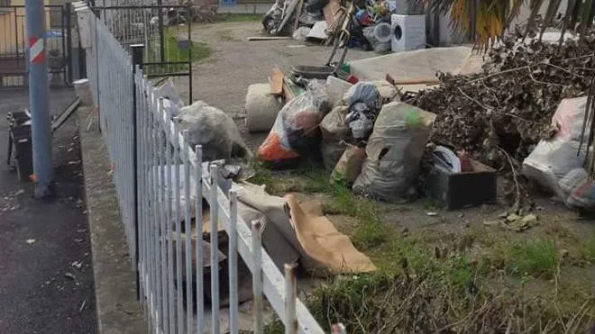 Sacchi di rifiuti tra ramaglie e spazzatura e ratti che banchettano: questo è lo scenario non distante dal centro di Portomaggiore