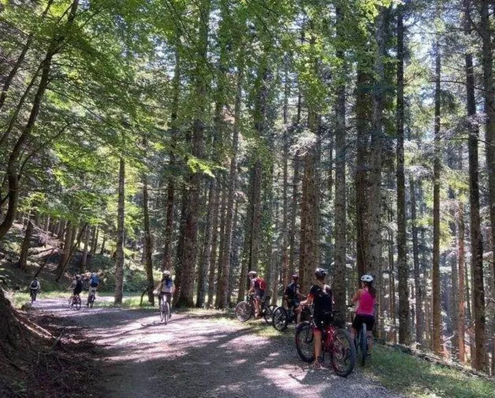 Una strada forestale utilizzata per il passaggio degli escursionisti