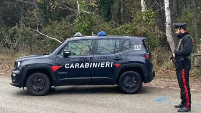 Sulle vicende hanno indagati i carabinieri della compagnia di Comacchio (foto di repertorio)