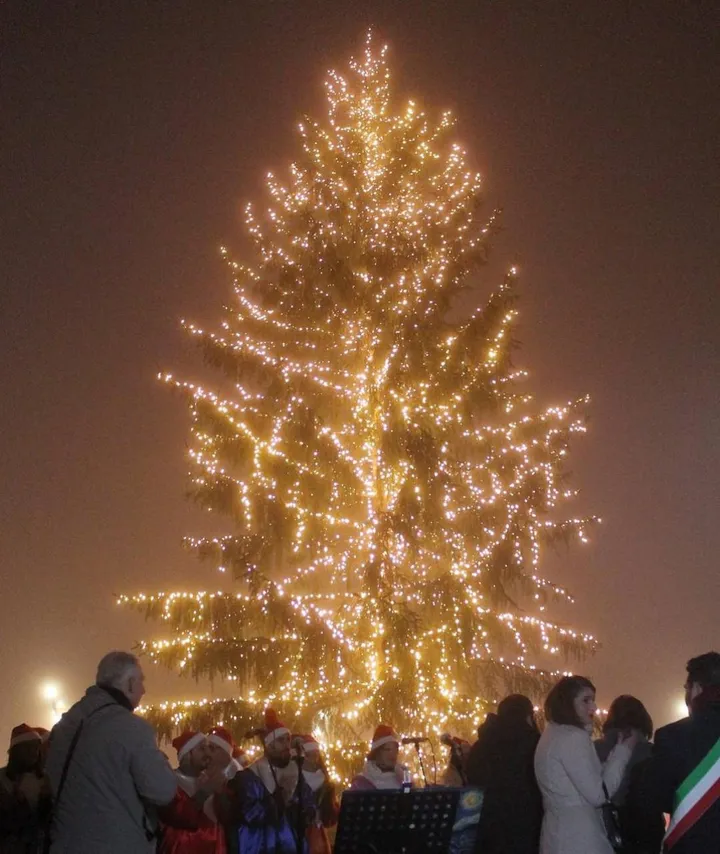 Il grande albero di Natale tornerà in centro a Lugo