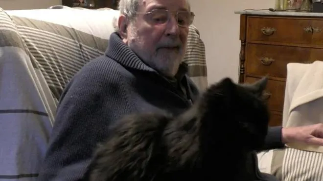 Francesco Guccini con la sua gatta che vive al suo fianco sul bracciolo della poltrona